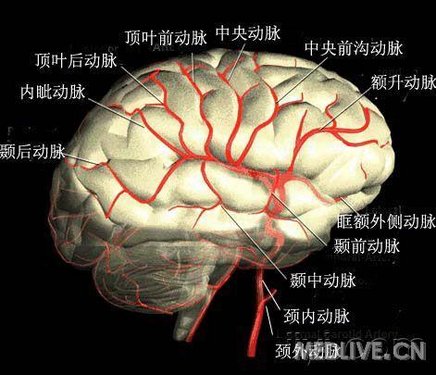 http://webres.medlive.cn/upload/000/006/462