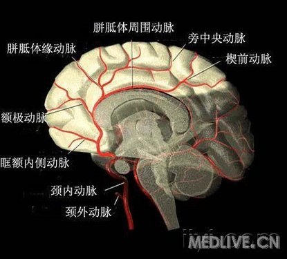 http://webres.medlive.cn/upload/000/006/463