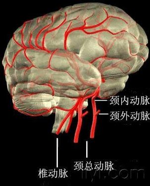 http://webres.medlive.cn/upload/000/006/464