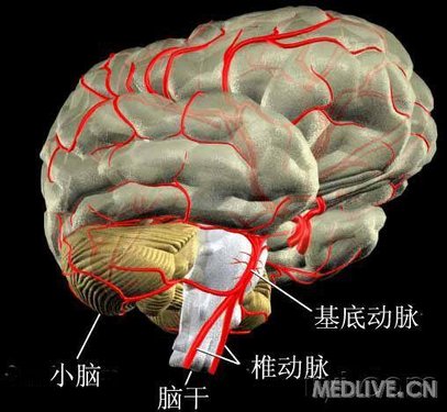 http://webres.medlive.cn/upload/000/006/465