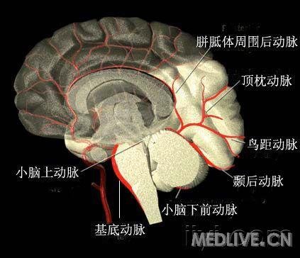 http://webres.medlive.cn/upload/000/006/466