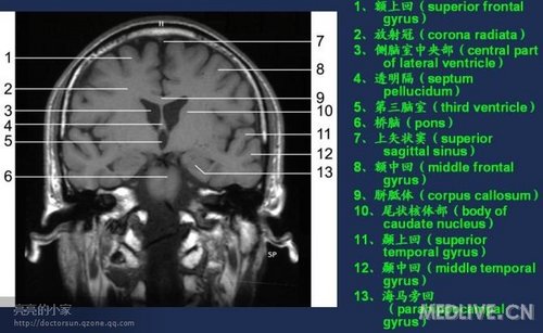 http://webres.medlive.cn/upload/000/006/468