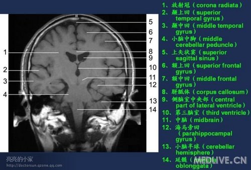 http://webres.medlive.cn/upload/000/006/469
