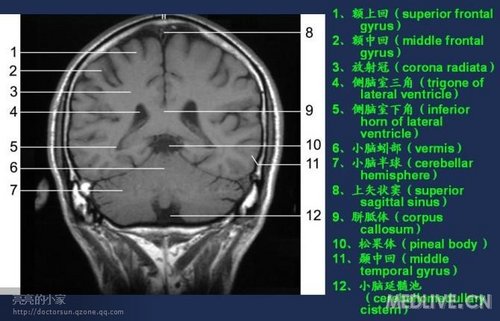 http://webres.medlive.cn/upload/000/006/470