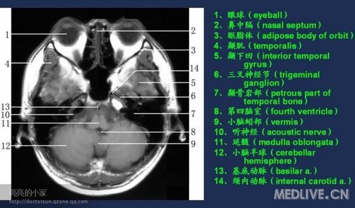 http://webres.medlive.cn/upload/000/006/471
