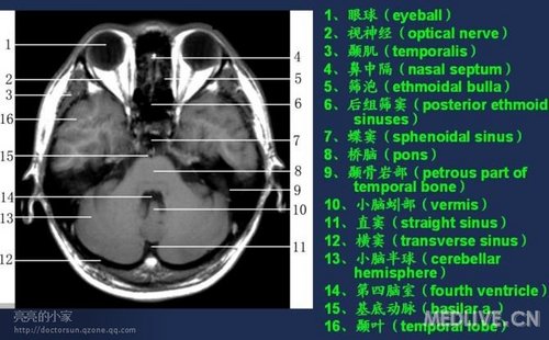 http://webres.medlive.cn/upload/000/006/472