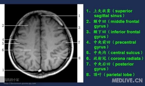 http://webres.medlive.cn/upload/000/006/473