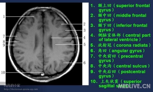 http://webres.medlive.cn/upload/000/006/474