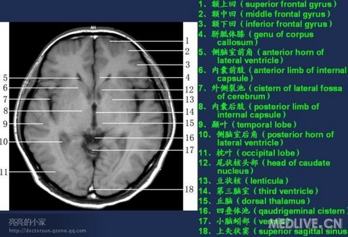 http://webres.medlive.cn/upload/000/006/475