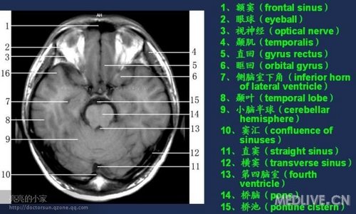 http://webres.medlive.cn/upload/000/006/478
