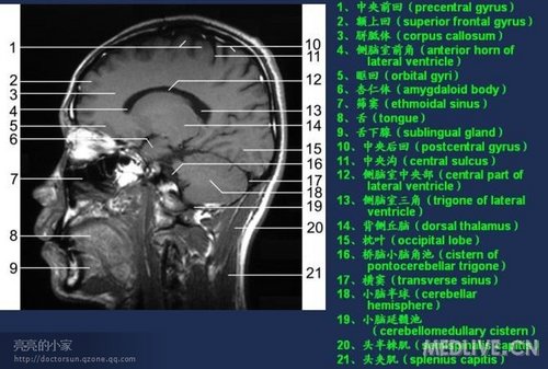 http://webres.medlive.cn/upload/000/006/480