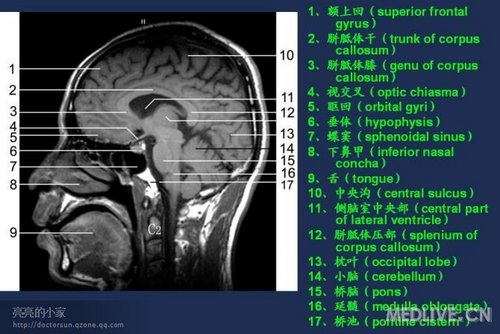 http://webres.medlive.cn/upload/000/006/481