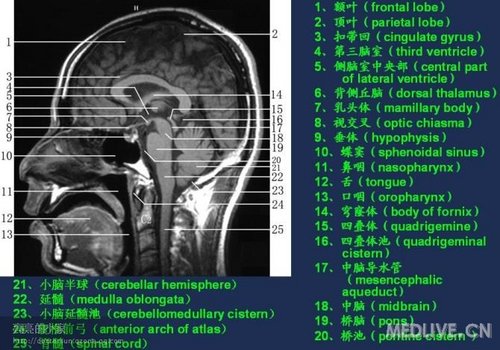 http://webres.medlive.cn/upload/000/006/482