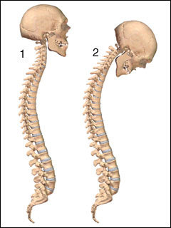http://webres.medlive.cn/upload/000/009/216