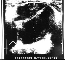 http://webres.medlive.cn/upload/000/010/817