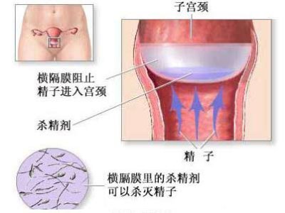 http://webres.medlive.cn/upload/000/010/879