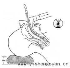 http://webres.medlive.cn/upload/000/011/452