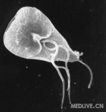 http://webres.medlive.cn/upload/000/012/655