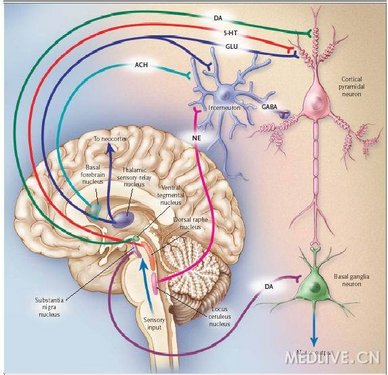 http://webres.medlive.cn/upload/000/013/766