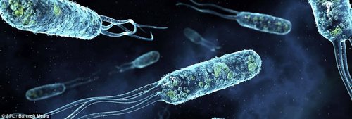 http://webres.medlive.cn/upload/000/018/609