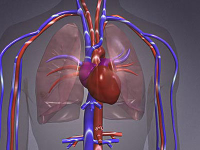 http://webres.medlive.cn/upload/000/025/838