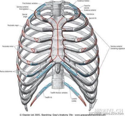 http://webres.medlive.cn/upload/000/030/976