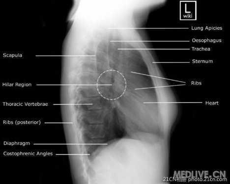 http://webres.medlive.cn/upload/000/030/980