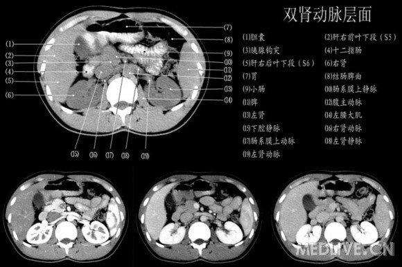 http://webres.medlive.cn/upload/000/060/567