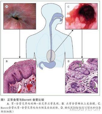 http://webres.medlive.cn/upload/000/075/634