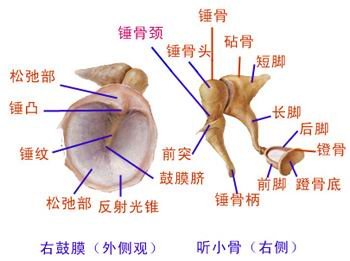 http://webres.medlive.cn/upload/000/076/610