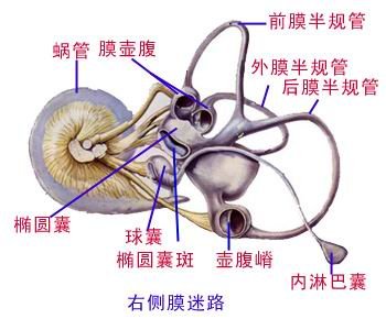 http://webres.medlive.cn/upload/000/076/613