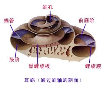 http://webres.medlive.cn/upload/000/076/616