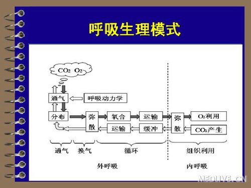 http://webres.medlive.cn/upload/000/078/582
