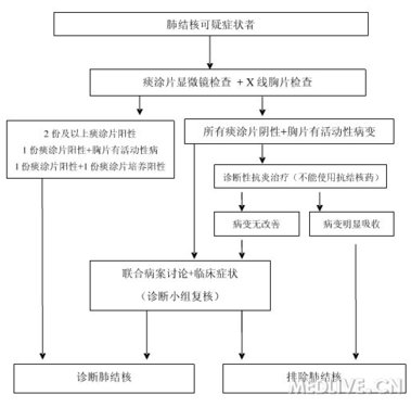 肺结核诊断程序_肺结核诊疗流程项目_诊疗知识库_医脉通