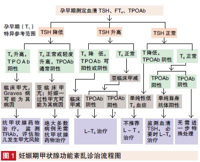 妊娠人群早期甲状腺功能筛查获荐