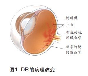 http://webres.medlive.cn/upload/000/101/965