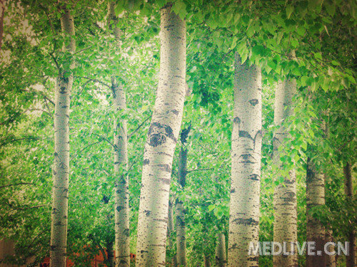 http://webres.medlive.cn/upload/000/102/406