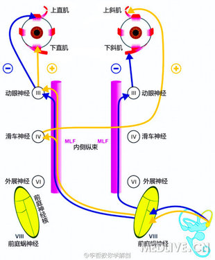 http://webres.medlive.cn/upload/000/104/353