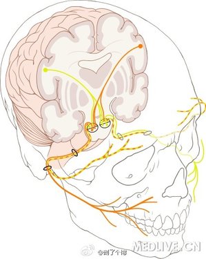 http://webres.medlive.cn/upload/000/104/357