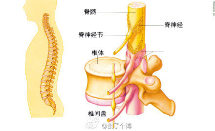 http://webres.medlive.cn/upload/000/104/359