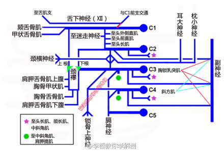 http://webres.medlive.cn/upload/000/104/364