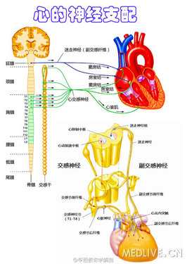 http://webres.medlive.cn/upload/000/104/375