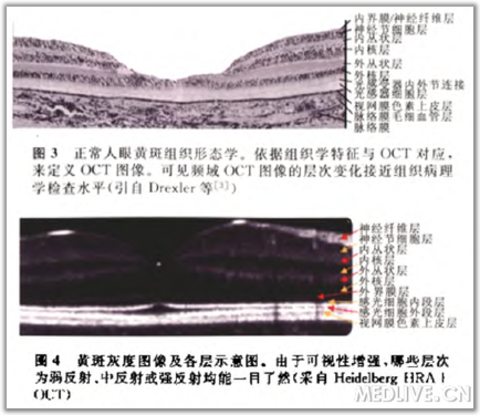 点击查看原图 http://webres.medlive.cn/upload/000/105/799