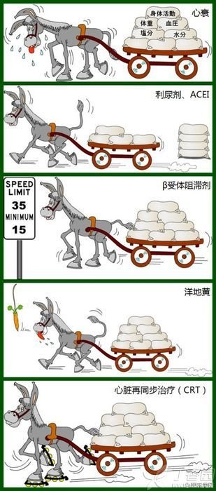 http://webres.medlive.cn/upload/000/127/263