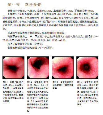 http://webres.medlive.cn/upload/000/138/055
