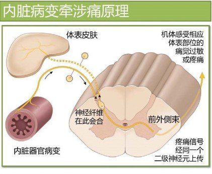 http://webres.medlive.cn/upload/000/154/509