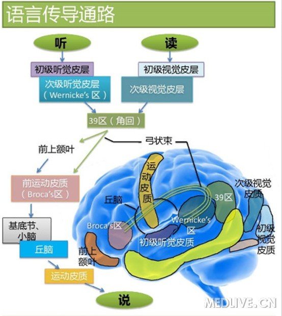 http://webres.medlive.cn/upload/000/157/171