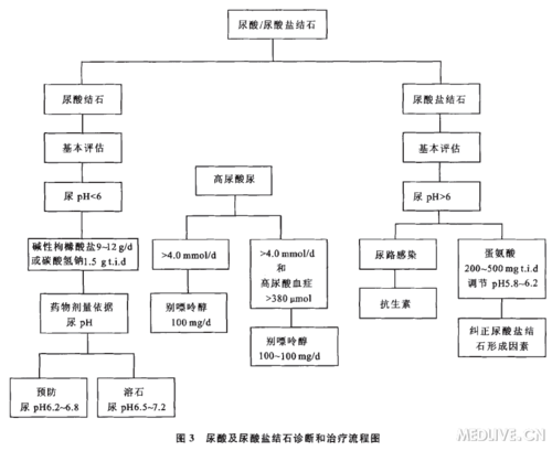 http://webres.medlive.cn/upload/000/167/291