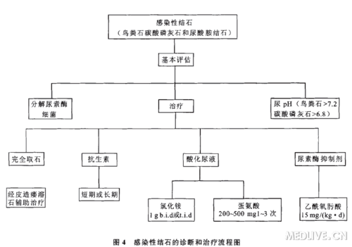 http://webres.medlive.cn/upload/000/167/294