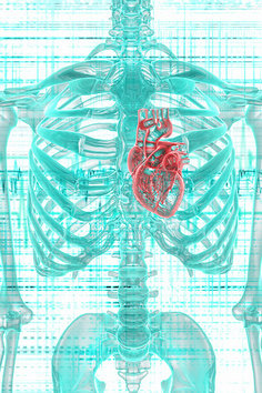 http://webres.medlive.cn/upload/000/170/392